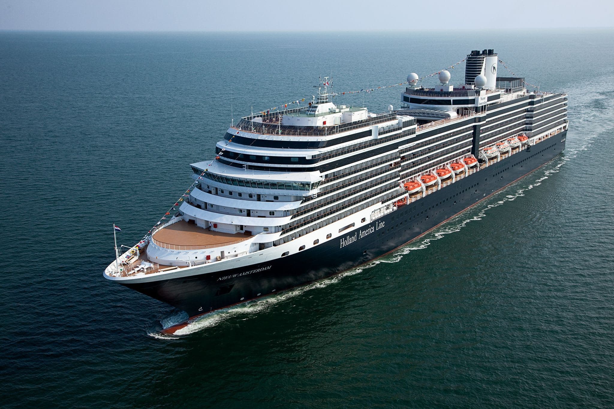 Nieuw Amsterdam image