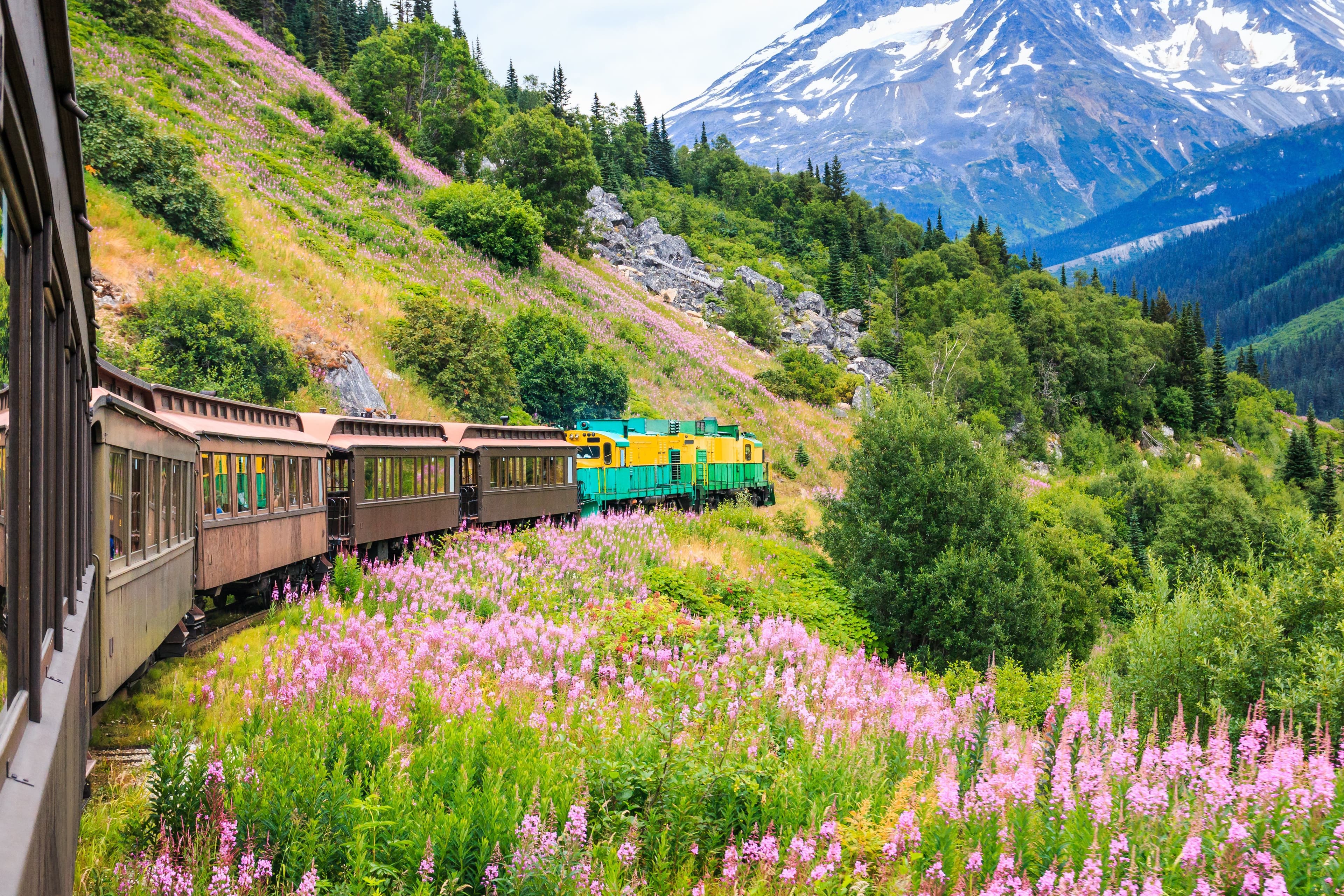 Best Alaska Cruise Excursions