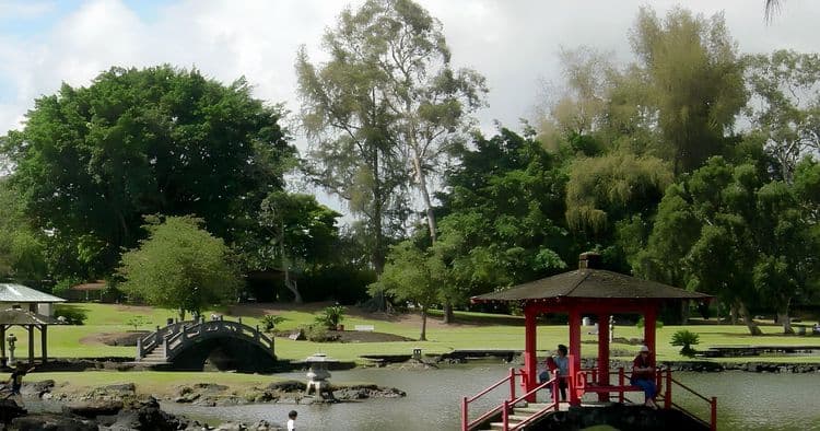 Discover Hilo, Waves & Waterfalls