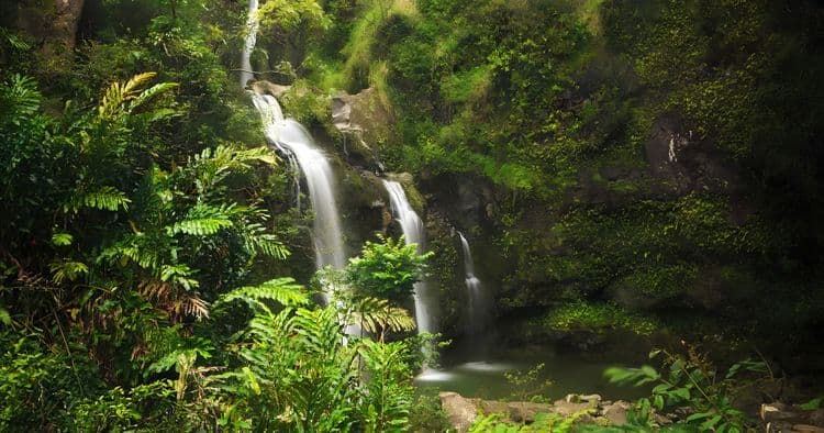 Road to Hana Deluxe