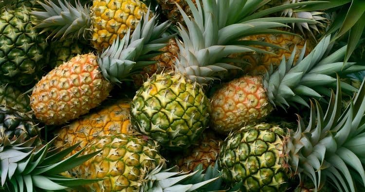 Maui Gold Pineapple Experience