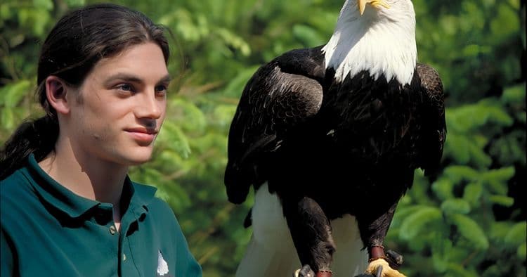 Sitka Cultural Tour with Alaska Raptor Center