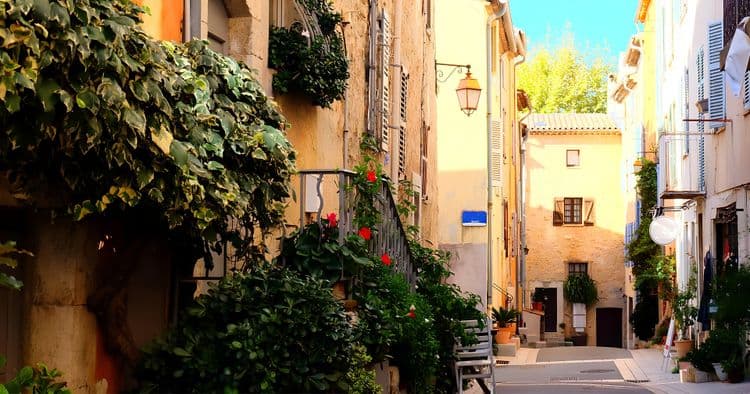 Go Local - Villagelife of Valbonne & Olives of Opio