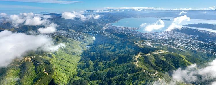 Zealandia Sanctuary & Cable Car Experience