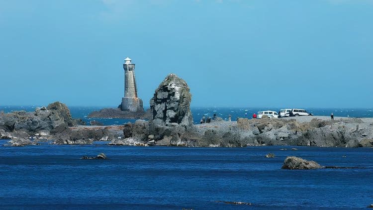 Seal Coast Safari Tour