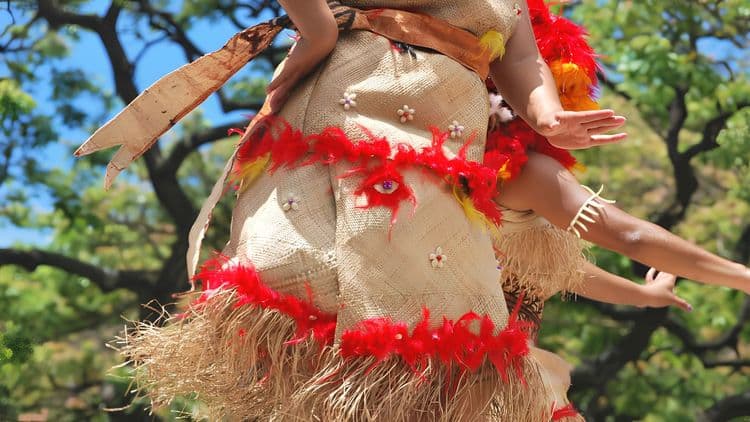 Fijian Traditions and Beauty