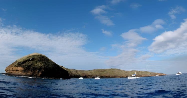 Molokini Crater & Turtle Snorkel