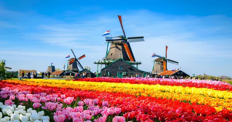 Let's Take a Selfie – Amsterdam