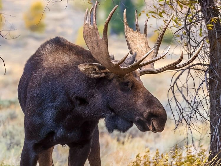 Alaska Zodiac Adventure & Fin Island Lodge: In Partnership With Food & Wine Magazine