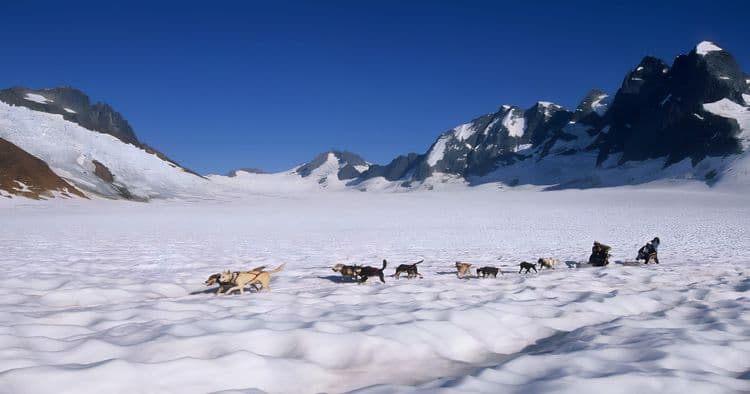 Dogsledding & Glacier Flightseeing Helicopter