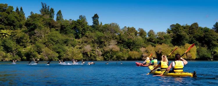 Kayaking Scenic Lake Rotoiti and Glow Worm Cave