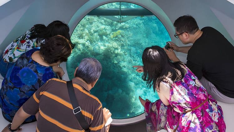Oculus Glass Bottom Boat Cruise