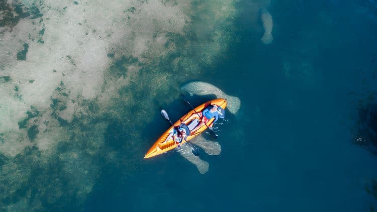 Paddleboard & Kayak at Manatee Reserve