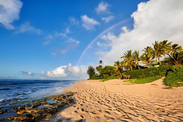 Oahu's Scenic Shores