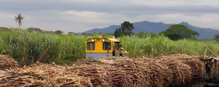 Nadi Sightseeing Tour
