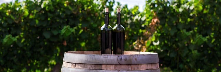 Casablanca Valley Winery