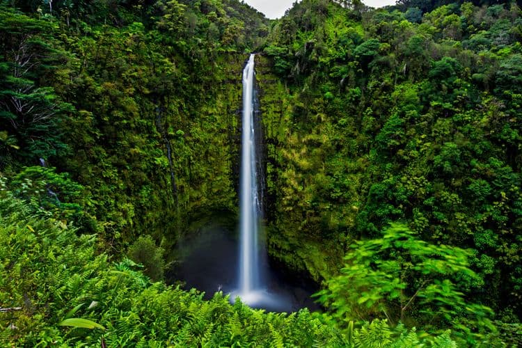 Akaka Falls, Macadamia Nut Shop & Tropical Garden Zoo