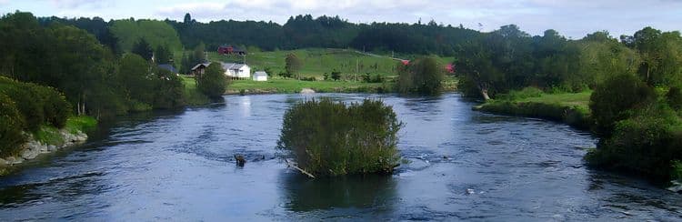 Fly Fishing On The Maullin River
