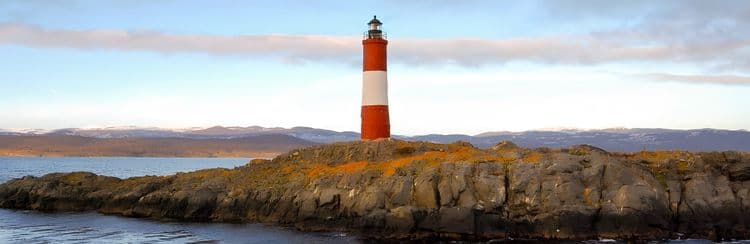 Beagle Channel Wildlife