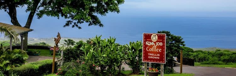 A Taste Of Kona