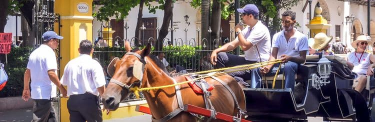 Medieval Cartagena By Horse & Carriage