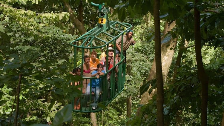 Aerial Tram Tour - St. Lucia
