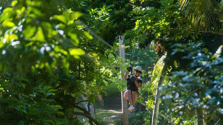 Jungle Fun
