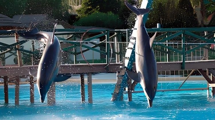 Selwo Marina Park