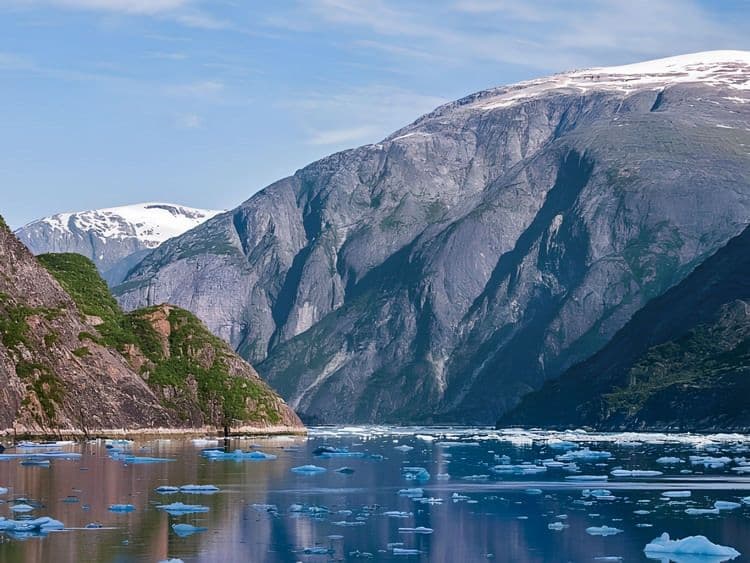 Tracy Arm Fjord & Glacier Explorer