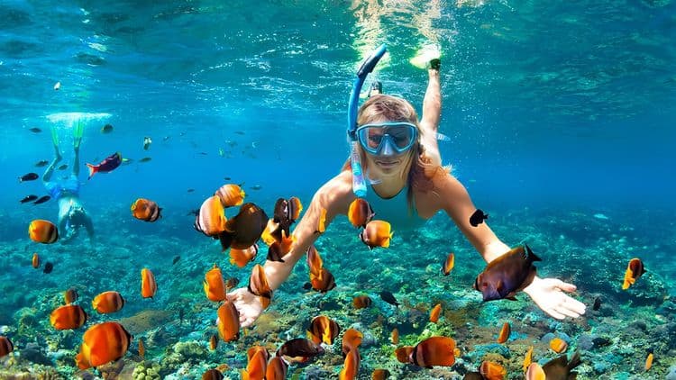 Kayak and Snorkel Adventure