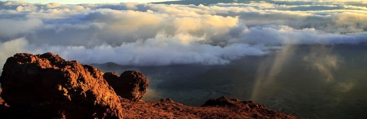 Kona Coffee, Gold Coast & Cloud Forest Adventure