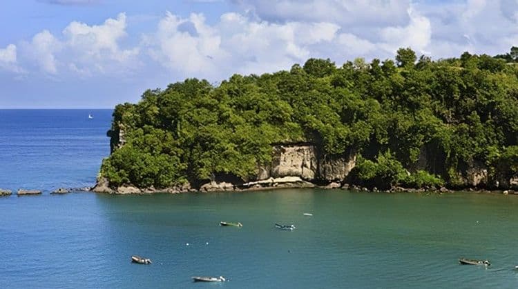 Island Sights & St. Lucia Rythyms