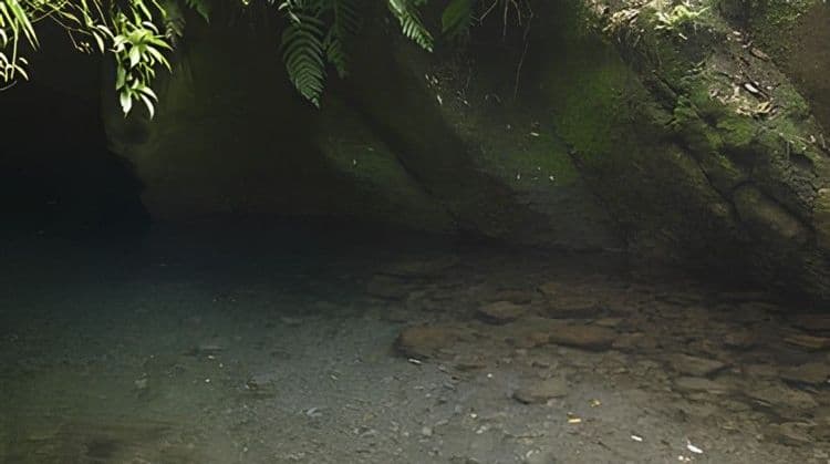 4x4 Rainforest & Waterfall Adventure