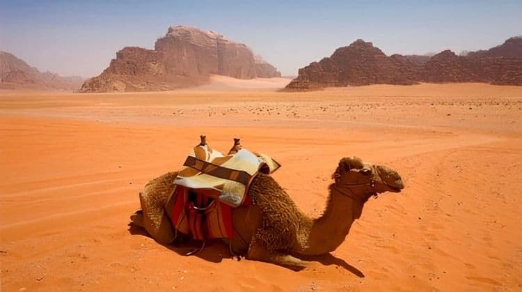 Wadi Rum