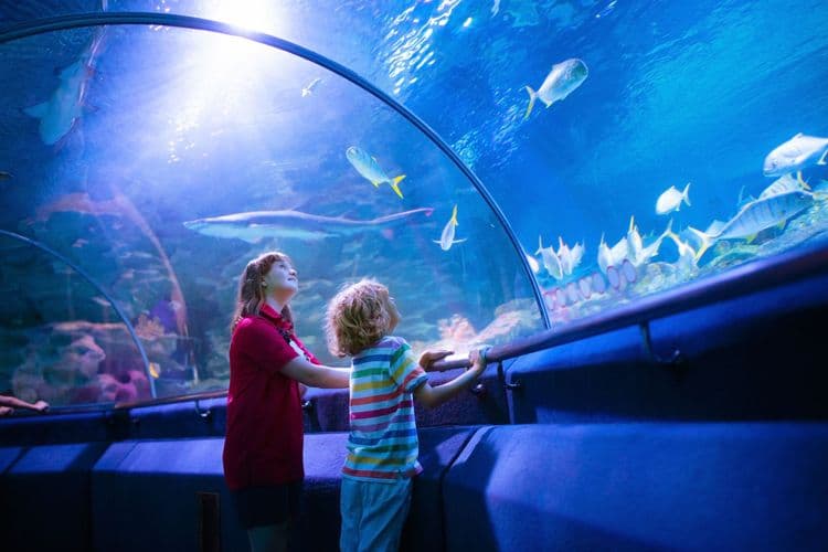 Coral World Ocean Park & Beach