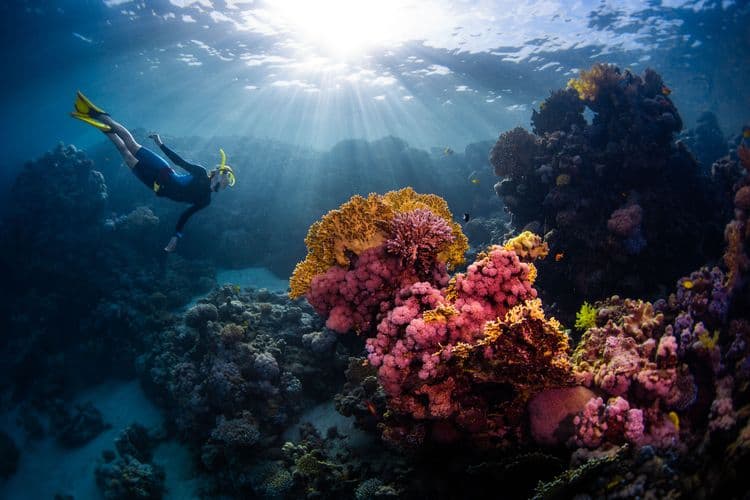 Champagne Reef Snorkel, Soufriere & Coastal Cruise