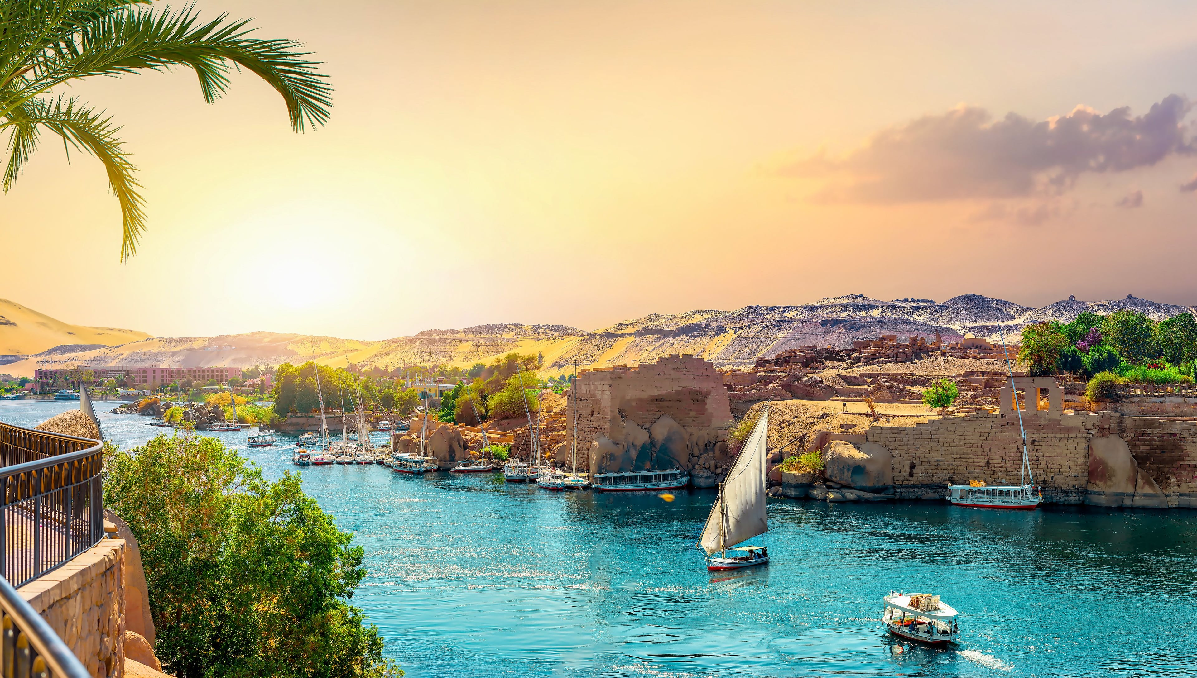 Book Your Dream River Cruise