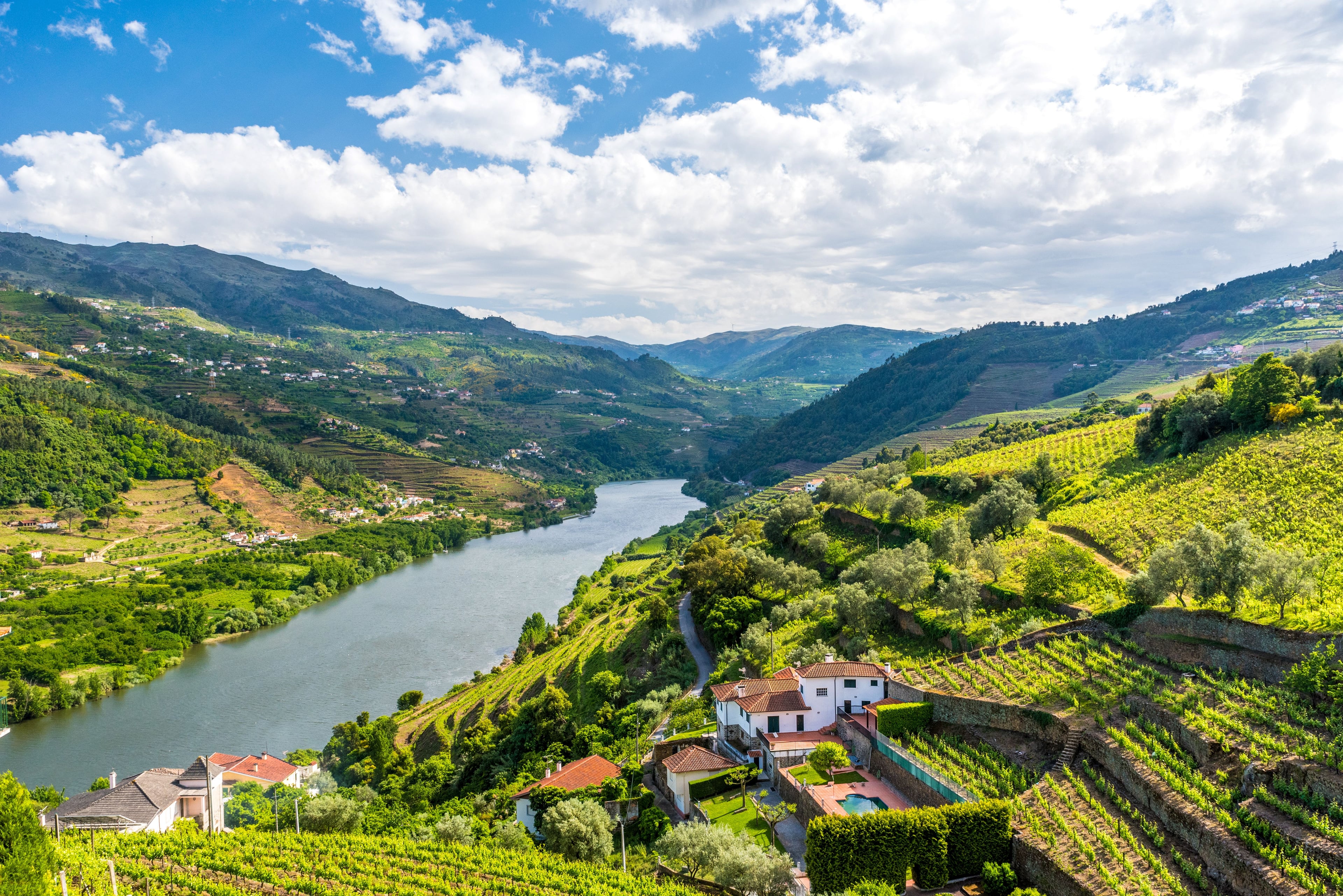 Book Your Dream River Cruise