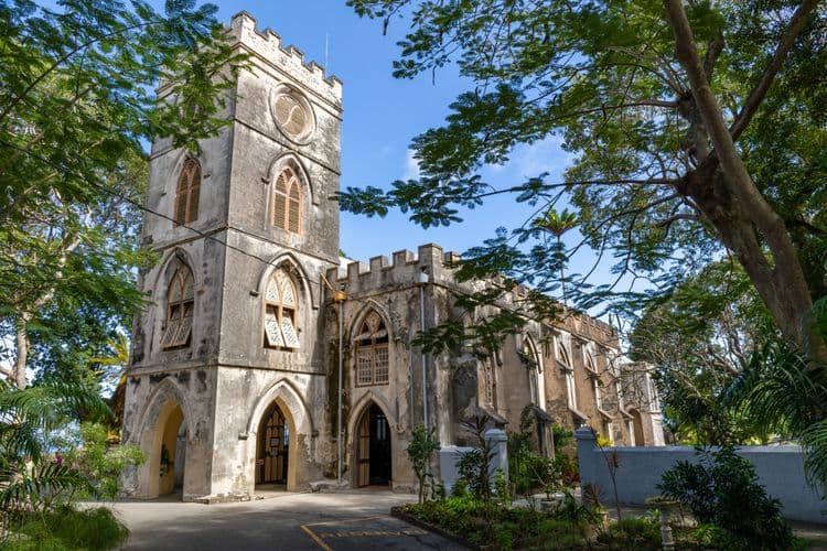 Vivid History — Tropical Treasures & Artifacts