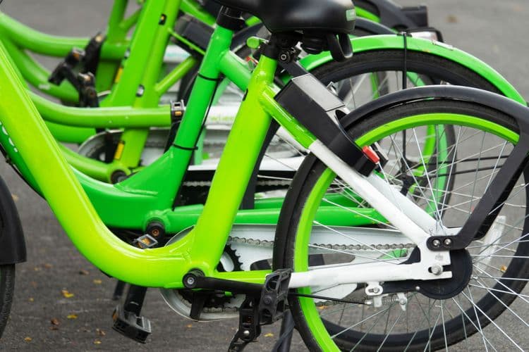 Key Lime Beach Cruiser Bike Tour