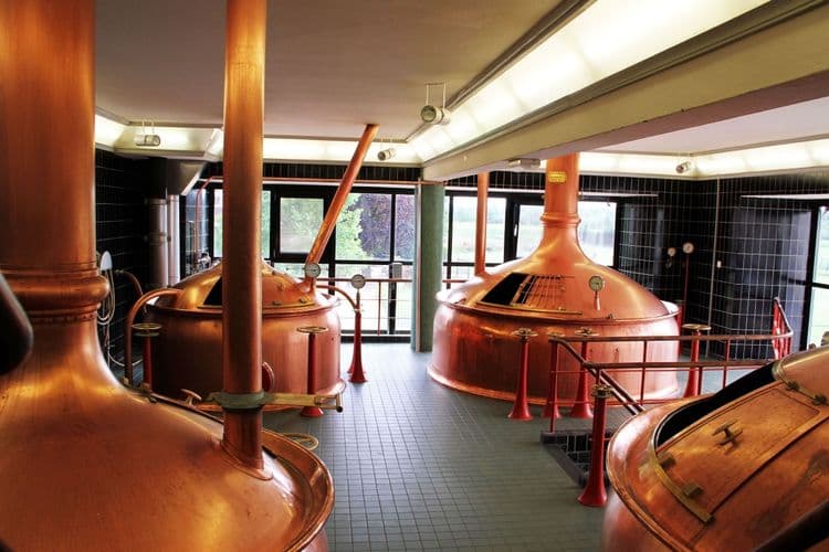 Canal Cruise & Heineken Factory Tour and Tasting