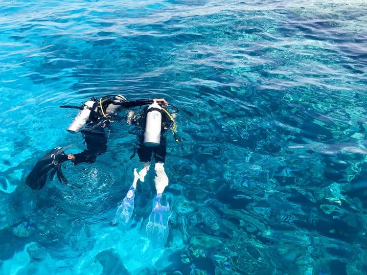 Certified Two-Tank Dive in Grand Cayman
