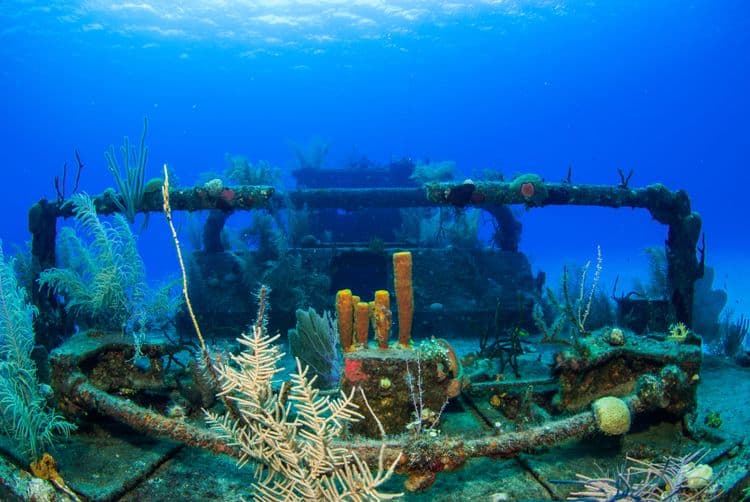 Reef & Wreck Snorkel Tour