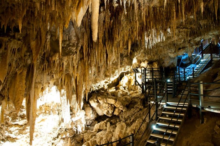 Ngilgi Cave & Cape Naturaliste