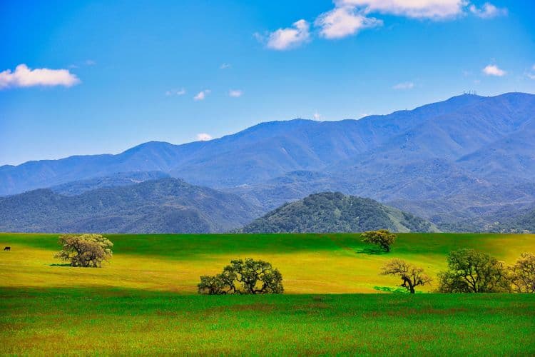 Santa Barbara & Los Olivos: California's Riviera, Food And Wine