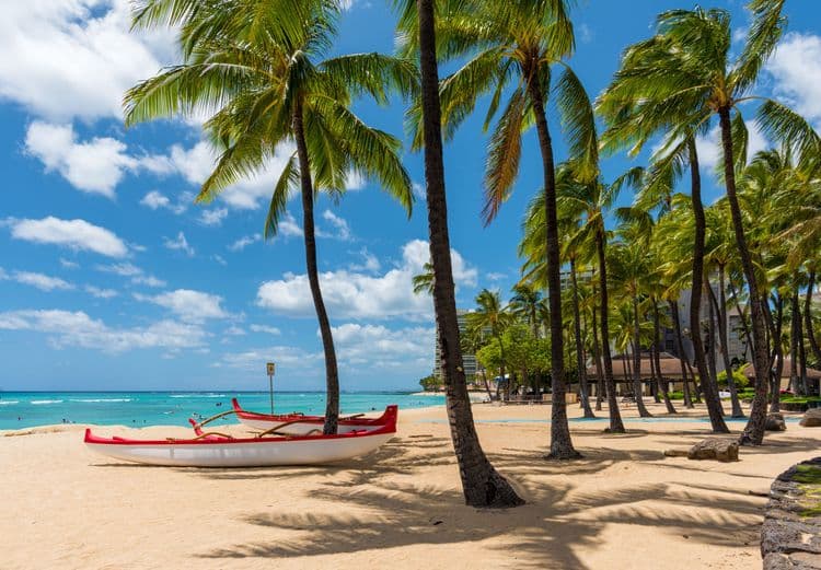 Waikiki on Your Own