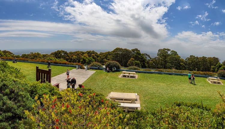 Blue Dandenongs & Mountain Village