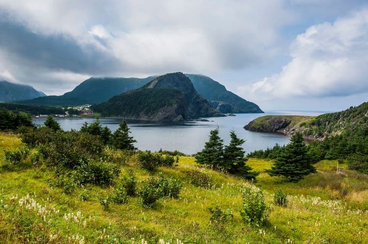 Corner Brook Nature Scenic Walking Tour