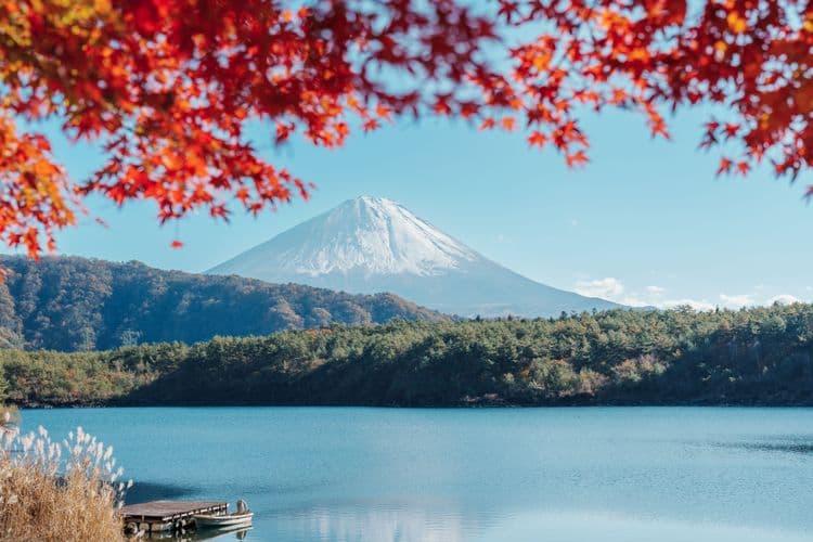 Views Of Mt. Fuji, Tea Ceremony & Art Museum