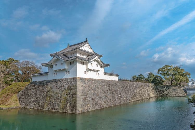 Sunpu Castle Park, Views Of Mt. Fuji & Shizuoka Sengen Shrine